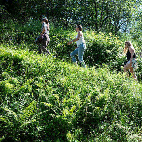 4565feefe0b79b6210812331ce55683b