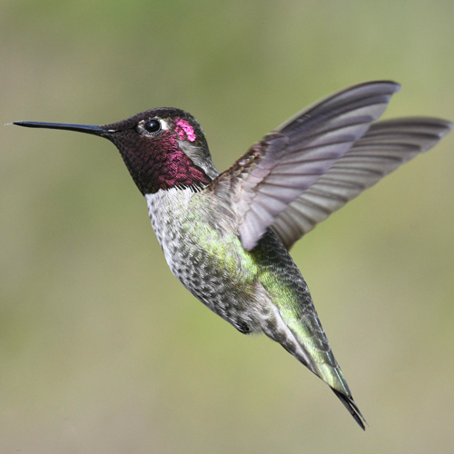 Aacbb115eeb6bf6d4a3f52a51fbe80e7